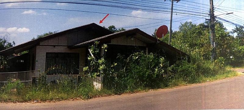 บ้านเดี่ยวหลุดจำนอง ธ.ธนาคารอาคารสงเคราะห์ อำนาจเจริญ เมืองอำนาจเจริญ ปลาค้าว