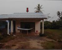 บ้านเดี่ยวหลุดจำนอง ธ.ธนาคารอาคารสงเคราะห์ กระบี่ คลองท่อม คลองพน