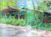บ้านเดี่ยวหลุดจำนอง ธ.ธนาคารอาคารสงเคราะห์ บุรีรัมย์ นางรอง ถนนหัก