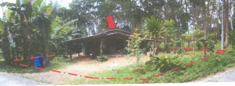 บ้านเดี่ยวหลุดจำนอง ธ.ธนาคารอาคารสงเคราะห์ นครศรีธรรมราช ช้างกลาง ช้างกลาง