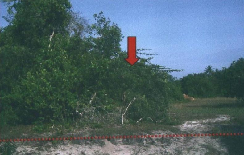 ที่ดินหลุดจำนอง ธ.ธนาคารอาคารสงเคราะห์ ปัตตานี ไม้แก่น ดอนทราย