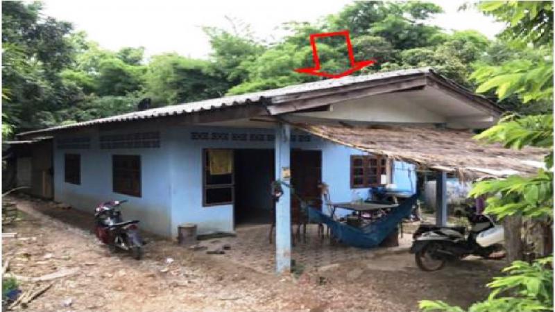 บ้านเดี่ยวหลุดจำนอง ธ.ธนาคารอาคารสงเคราะห์ เลย เมืองเลย ศรีสองรัก