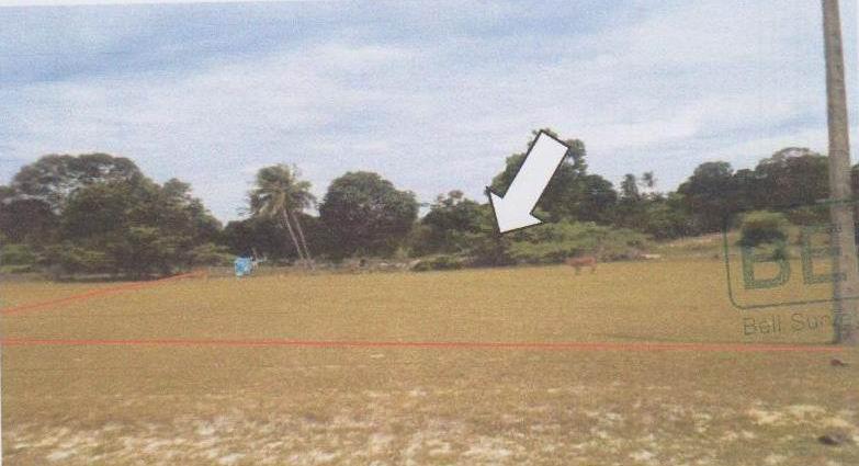 ที่ดินหลุดจำนอง ธ.ธนาคารอาคารสงเคราะห์ ปัตตานี ไม้แก่น ดอนทราย