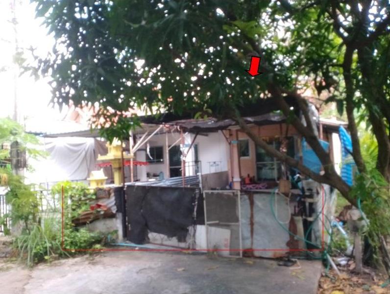 ทาวน์เฮ้าส์หลุดจำนอง ธ.ธนาคารอาคารสงเคราะห์ นครราชสีมา เมืองนครราชสีมา ตลาด