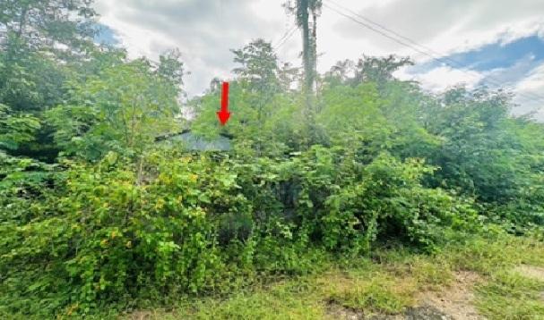 บ้านเดี่ยวหลุดจำนอง ธ.ธนาคารอาคารสงเคราะห์ กาญจนบุรี เมืองกาญจนบุรี วังด้ง