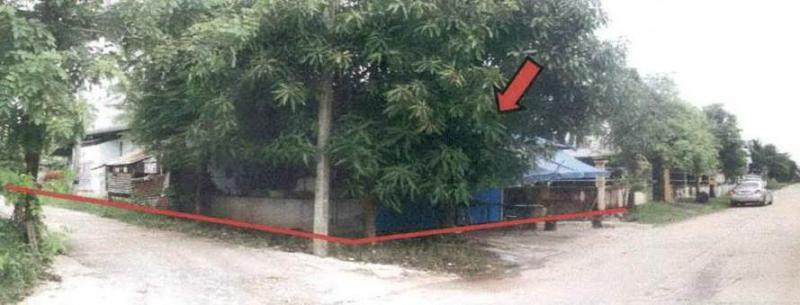 บ้านเดี่ยวหลุดจำนอง ธ.ธนาคารอาคารสงเคราะห์ ร้อยเอ็ด จตุรพักตรพิมาน ดงแดง