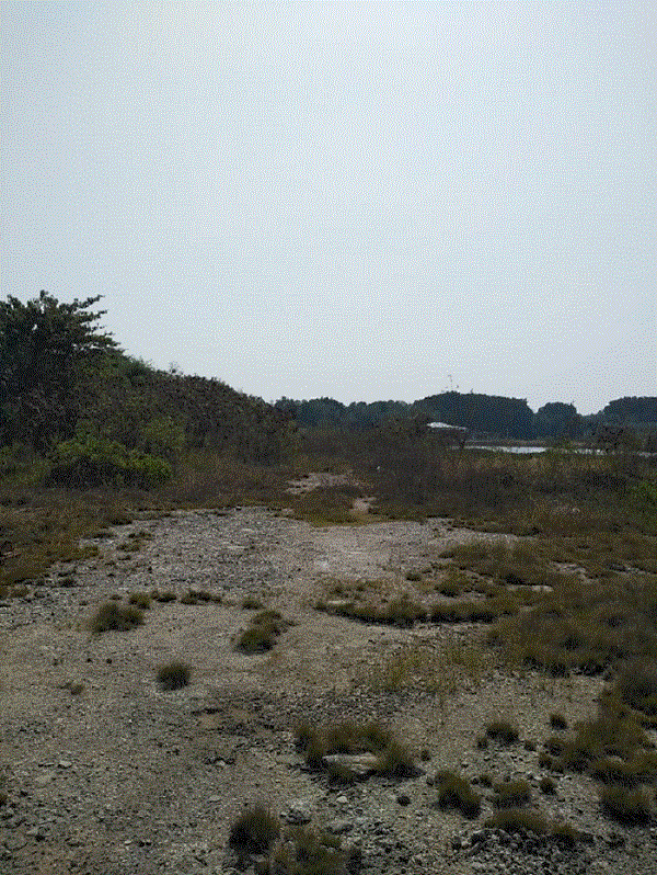 ที่ดินหลุดจำนอง ธ.ธนาคารกรุงเทพ   