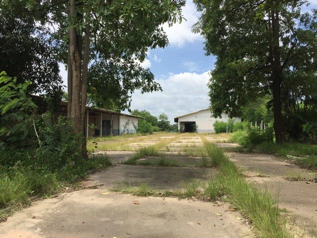 โกดังหลุดจำนอง ธ.ธนาคารกรุงเทพ   