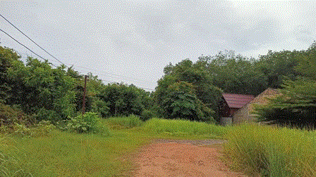 ที่ดินหลุดจำนอง ธ.ธนาคารกรุงเทพ สงขลา จะนะ คู