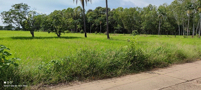 ที่ดินหลุดจำนอง ธ.ธนาคารกรุงเทพ อุตรดิตถ์ ตรอน วังแดง