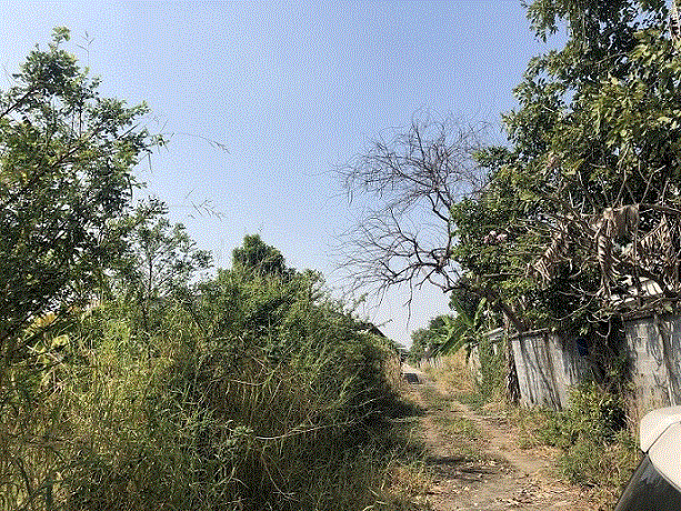 ที่ดินหลุดจำนอง ธ.ธนาคารกรุงเทพ ปทุมธานี ลำลูกกา บึงคำพร้อย