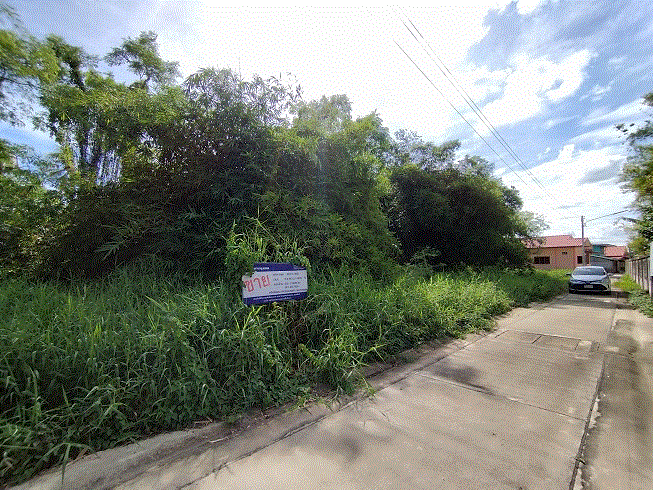 ที่ดินหลุดจำนอง ธ.ธนาคารกรุงเทพ นครปฐม นครชัยศรี ท่าตำหนัก