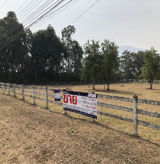 ที่ดินพร้อมสิ่งปลูกสร้าง (อื่น ๆ)หลุดจำนอง ธ.ธนาคารกรุงเทพ ลำพูน บ้านโฮ่ง บ้านโฮ่ง