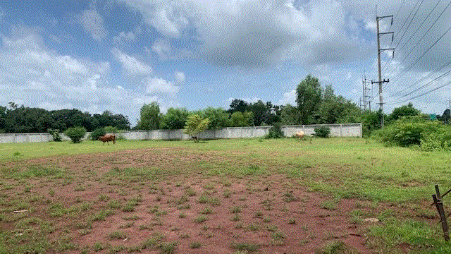 ที่ดินหลุดจำนอง ธ.ธนาคารกรุงเทพ   