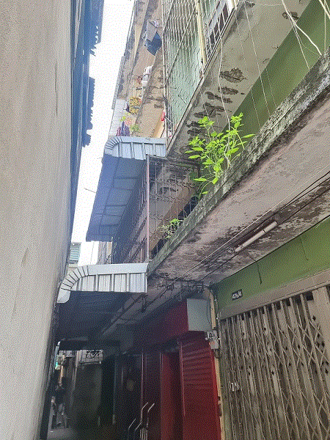 อาคารพาณิชย์หลุดจำนอง ธ.ธนาคารกรุงเทพ กรุงเทพมหานคร สัมพันธวงศ์ จักรวรรดิ