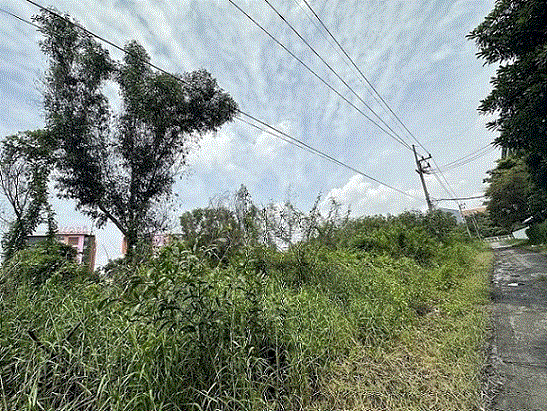 ที่ดินหลุดจำนอง ธ.ธนาคารกรุงเทพ   