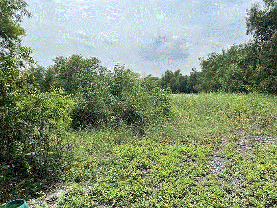 ที่ดินหลุดจำนอง ธ.ธนาคารกรุงเทพ   