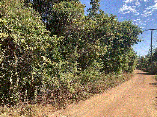 ที่ดินหลุดจำนอง ธ.ธนาคารกรุงเทพ กาฬสินธุ์ เมืองกาฬสินธุ์ หลุบ
