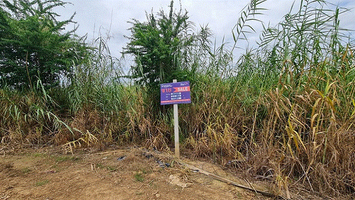 ที่ดินหลุดจำนอง ธ.ธนาคารกรุงเทพ สุโขทัย ศรีสำโรง ทับผึ้ง