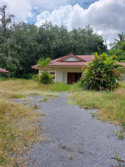 บ้านหลุดจำนอง ธ.ธนาคารกรุงเทพ สุราษฎร์ธานี กาญจนดิษฐ์ ป่าร่อน