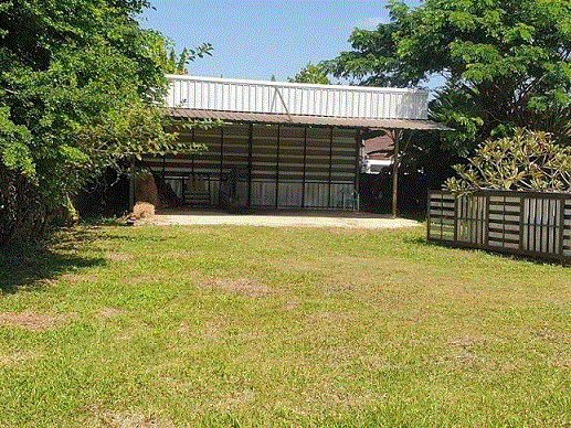 ที่ดินพร้อมสิ่งปลูกสร้าง (อื่น ๆ)หลุดจำนอง ธ.ธนาคารกรุงเทพ เชียงราย เมืองเชียงราย ริมกก