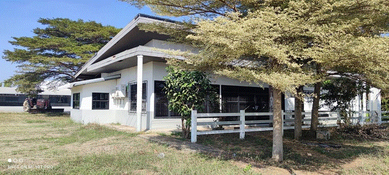 โกดังหลุดจำนอง ธ.ธนาคารกรุงเทพ   