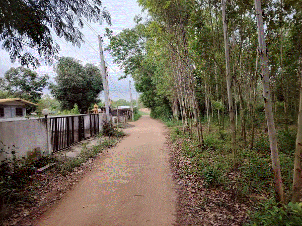 บ้านหลุดจำนอง ธ.ธนาคารกรุงเทพ ฉะเชิงเทรา สนามชัย คู้ยายหมี