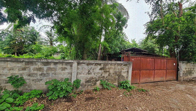 โรงเรือนปศุสัตว์หลุดจำนอง ธ.ธนาคารกรุงเทพ   