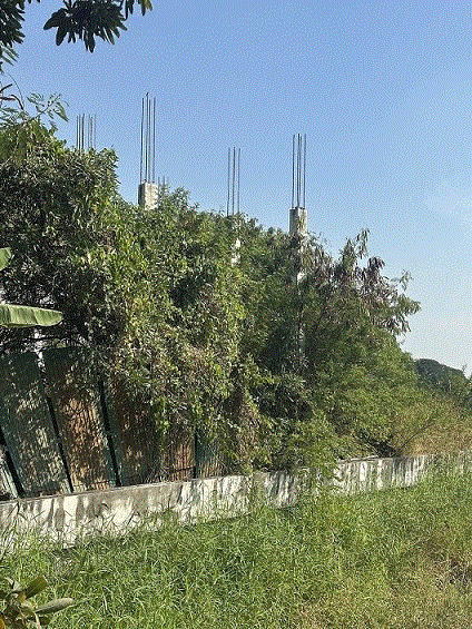 บ้านหลุดจำนอง ธ.ธนาคารกรุงเทพ ปทุมธานี เมืองปทุมธานี บ้านกลาง