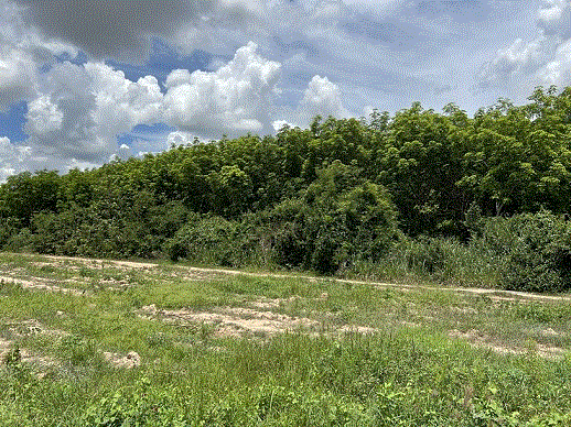 ที่ดินหลุดจำนอง ธ.ธนาคารกรุงเทพ   